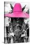 ¡Viva Mexico! B&W Collection - Portrait of Horse with Pink Hat-Philippe Hugonnard-Stretched Canvas