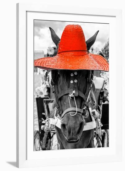 ¡Viva Mexico! B&W Collection - Portrait of Horse with Red Hat-Philippe Hugonnard-Framed Photographic Print