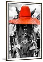 ¡Viva Mexico! B&W Collection - Portrait of Horse with Red Hat-Philippe Hugonnard-Framed Premium Photographic Print