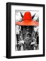 ¡Viva Mexico! B&W Collection - Portrait of Horse with Red Hat-Philippe Hugonnard-Framed Photographic Print