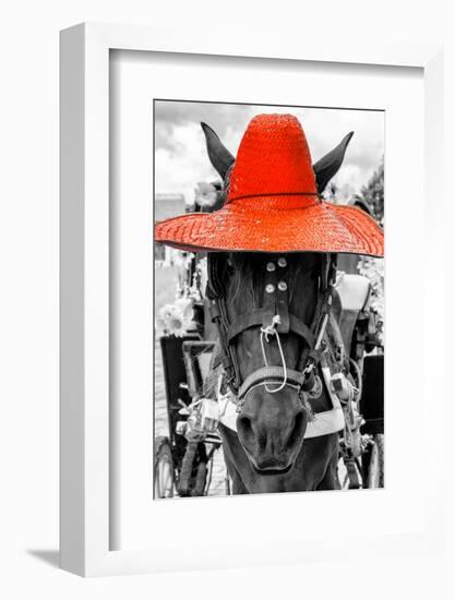 ¡Viva Mexico! B&W Collection - Portrait of Horse with Red Hat-Philippe Hugonnard-Framed Photographic Print