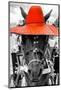 ¡Viva Mexico! B&W Collection - Portrait of Horse with Red Hat-Philippe Hugonnard-Mounted Photographic Print