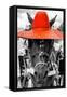 ¡Viva Mexico! B&W Collection - Portrait of Horse with Red Hat-Philippe Hugonnard-Framed Stretched Canvas