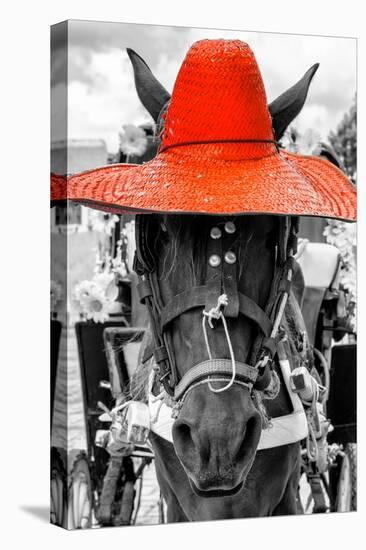 ¡Viva Mexico! B&W Collection - Portrait of Horse with Red Hat-Philippe Hugonnard-Stretched Canvas