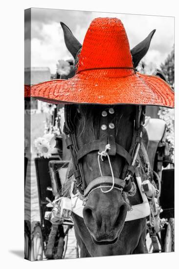 ¡Viva Mexico! B&W Collection - Portrait of Horse with Red Hat-Philippe Hugonnard-Stretched Canvas