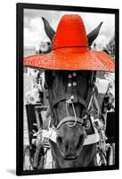 ¡Viva Mexico! B&W Collection - Portrait of Horse with Red Hat-Philippe Hugonnard-Framed Photographic Print