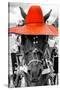¡Viva Mexico! B&W Collection - Portrait of Horse with Red Hat-Philippe Hugonnard-Stretched Canvas