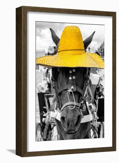 ¡Viva Mexico! B&W Collection - Portrait of Horse with Yellow Hat-Philippe Hugonnard-Framed Photographic Print