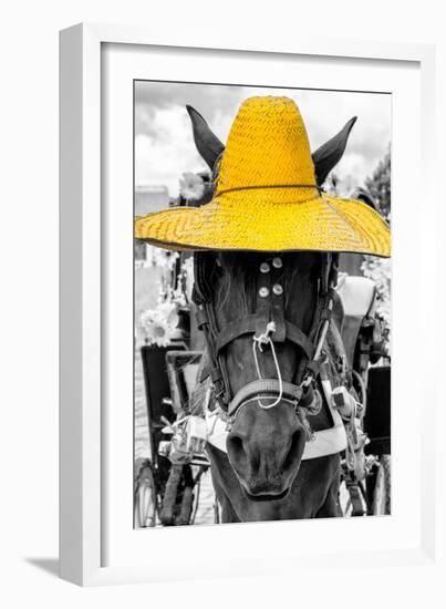 ¡Viva Mexico! B&W Collection - Portrait of Horse with Yellow Hat-Philippe Hugonnard-Framed Photographic Print