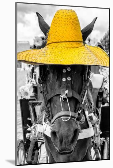 ¡Viva Mexico! B&W Collection - Portrait of Horse with Yellow Hat-Philippe Hugonnard-Mounted Photographic Print