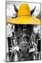 ¡Viva Mexico! B&W Collection - Portrait of Horse with Yellow Hat-Philippe Hugonnard-Mounted Photographic Print