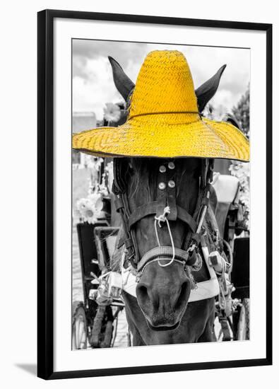 ¡Viva Mexico! B&W Collection - Portrait of Horse with Yellow Hat-Philippe Hugonnard-Framed Photographic Print