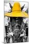 ¡Viva Mexico! B&W Collection - Portrait of Horse with Yellow Hat-Philippe Hugonnard-Mounted Photographic Print