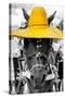 ¡Viva Mexico! B&W Collection - Portrait of Horse with Yellow Hat-Philippe Hugonnard-Stretched Canvas