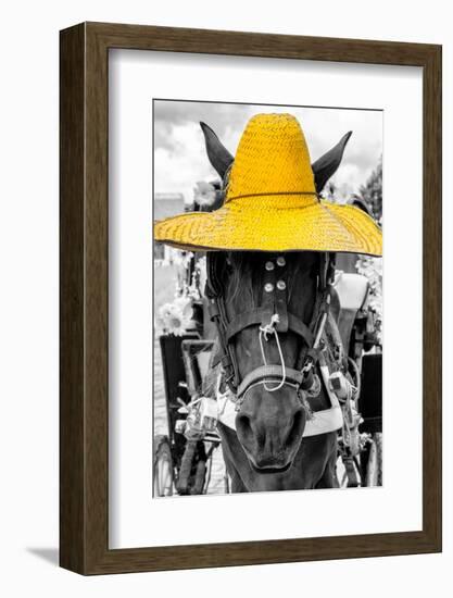 ¡Viva Mexico! B&W Collection - Portrait of Horse with Yellow Hat-Philippe Hugonnard-Framed Photographic Print