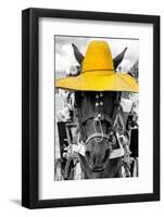 ¡Viva Mexico! B&W Collection - Portrait of Horse with Yellow Hat-Philippe Hugonnard-Framed Photographic Print