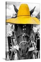 ¡Viva Mexico! B&W Collection - Portrait of Horse with Yellow Hat-Philippe Hugonnard-Stretched Canvas