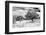 ¡Viva Mexico! B&W Collection - Prickly Pear Cactus-Philippe Hugonnard-Framed Photographic Print