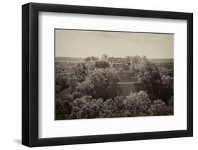 ¡Viva Mexico! B&W Collection - Pyramid in Mayan City of Calakmul II-Philippe Hugonnard-Framed Photographic Print