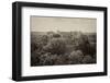 ¡Viva Mexico! B&W Collection - Pyramid in Mayan City of Calakmul II-Philippe Hugonnard-Framed Photographic Print