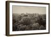 ¡Viva Mexico! B&W Collection - Pyramid in Mayan City of Calakmul II-Philippe Hugonnard-Framed Photographic Print