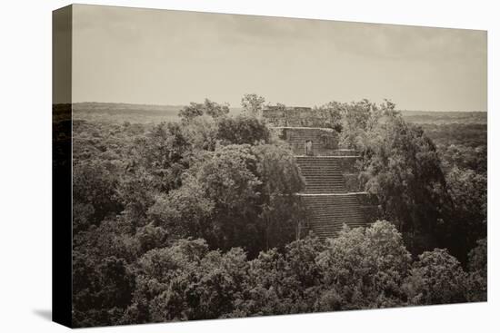 ¡Viva Mexico! B&W Collection - Pyramid in Mayan City of Calakmul II-Philippe Hugonnard-Stretched Canvas