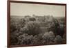 ¡Viva Mexico! B&W Collection - Pyramid in Mayan City of Calakmul II-Philippe Hugonnard-Framed Photographic Print