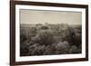 ¡Viva Mexico! B&W Collection - Pyramid in Mayan City of Calakmul II-Philippe Hugonnard-Framed Photographic Print