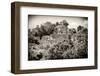 ¡Viva Mexico! B&W Collection - Pyramid in Mayan City of Calakmul III-Philippe Hugonnard-Framed Premium Photographic Print