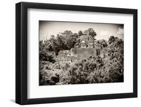 ¡Viva Mexico! B&W Collection - Pyramid in Mayan City of Calakmul III-Philippe Hugonnard-Framed Premium Photographic Print