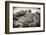 ¡Viva Mexico! B&W Collection - Pyramid in Mayan City of Calakmul III-Philippe Hugonnard-Framed Photographic Print