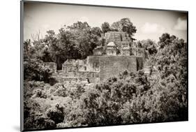 ¡Viva Mexico! B&W Collection - Pyramid in Mayan City of Calakmul III-Philippe Hugonnard-Mounted Photographic Print