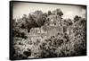 ¡Viva Mexico! B&W Collection - Pyramid in Mayan City of Calakmul III-Philippe Hugonnard-Framed Stretched Canvas