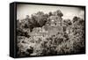 ¡Viva Mexico! B&W Collection - Pyramid in Mayan City of Calakmul III-Philippe Hugonnard-Framed Stretched Canvas