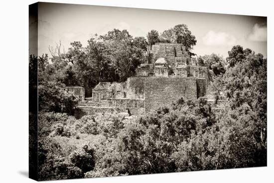 ¡Viva Mexico! B&W Collection - Pyramid in Mayan City of Calakmul III-Philippe Hugonnard-Stretched Canvas