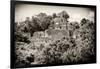 ¡Viva Mexico! B&W Collection - Pyramid in Mayan City of Calakmul III-Philippe Hugonnard-Framed Photographic Print