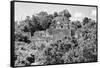 ¡Viva Mexico! B&W Collection - Pyramid in Mayan City of Calakmul IV-Philippe Hugonnard-Framed Stretched Canvas