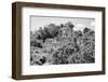 ¡Viva Mexico! B&W Collection - Pyramid in Mayan City of Calakmul IV-Philippe Hugonnard-Framed Photographic Print