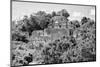 ¡Viva Mexico! B&W Collection - Pyramid in Mayan City of Calakmul IV-Philippe Hugonnard-Mounted Photographic Print