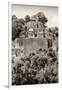 ¡Viva Mexico! B&W Collection - Pyramid in Mayan City of Calakmul V-Philippe Hugonnard-Framed Photographic Print