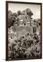 ¡Viva Mexico! B&W Collection - Pyramid in Mayan City of Calakmul V-Philippe Hugonnard-Framed Photographic Print