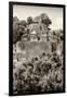 ¡Viva Mexico! B&W Collection - Pyramid in Mayan City of Calakmul V-Philippe Hugonnard-Framed Photographic Print