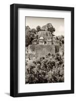 ¡Viva Mexico! B&W Collection - Pyramid in Mayan City of Calakmul V-Philippe Hugonnard-Framed Photographic Print