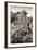 ¡Viva Mexico! B&W Collection - Pyramid in Mayan City of Calakmul V-Philippe Hugonnard-Framed Photographic Print