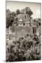 ¡Viva Mexico! B&W Collection - Pyramid in Mayan City of Calakmul V-Philippe Hugonnard-Mounted Photographic Print