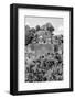 ¡Viva Mexico! B&W Collection - Pyramid in Mayan City of Calakmul VI-Philippe Hugonnard-Framed Photographic Print