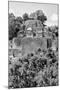¡Viva Mexico! B&W Collection - Pyramid in Mayan City of Calakmul VI-Philippe Hugonnard-Mounted Premium Photographic Print