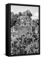 ¡Viva Mexico! B&W Collection - Pyramid in Mayan City of Calakmul VI-Philippe Hugonnard-Framed Stretched Canvas