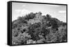 ¡Viva Mexico! B&W Collection - Pyramid in Mayan City of Calakmul VII-Philippe Hugonnard-Framed Stretched Canvas