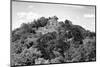 ¡Viva Mexico! B&W Collection - Pyramid in Mayan City of Calakmul VII-Philippe Hugonnard-Mounted Photographic Print